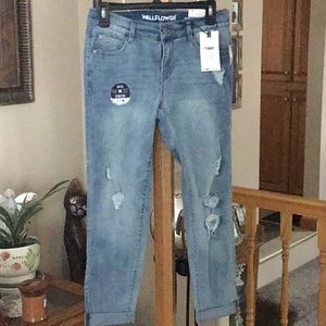 ♥️♥️Wallflowersize 3/26 regular jeans♥️♥️